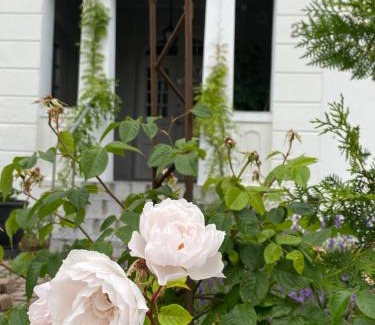 Glemminge House | B&B Österlens RosenTrädgård