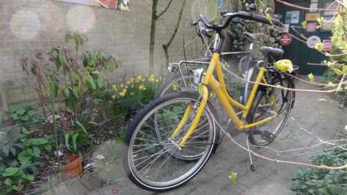 Municipality of Eindhoven Bed & Breakfast | B&B Aan het Park Eindhoven