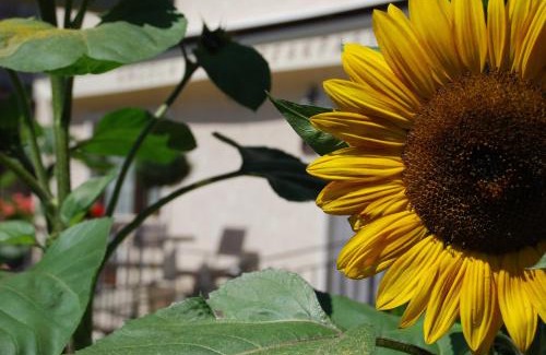 Scanno Bed & Breakfast | B&B Angela