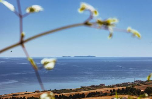 Petacciato Bed & Breakfast | B&B Antica Dimora