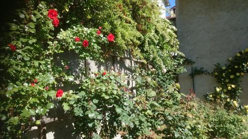 Levice Bed & Breakfast | B&B Barbaia