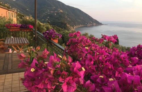 Camogli Bed & Breakfast | B&B Case Rosse