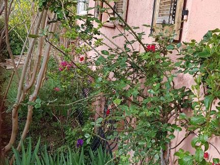 Ampus Bed & Breakfast | B&B Chez Lisa et Jeff