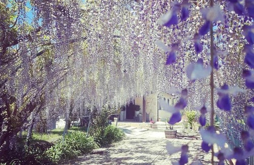 Piedimonte Etneo Villa | B&B Etna Ranch