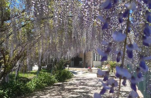 Piedimonte Etneo Villa | B&B Etna Ranch