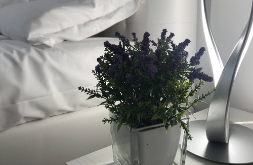 Manfredonia Bed & Breakfast | B&B Ficus Indica - quiet and close to the center and the sea
