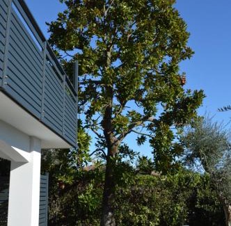 Moniga del Garda Bed & Breakfast | B&B Fior di Magnolia