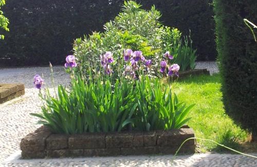 Castello d'Agogna Bed & Breakfast | B&B Il Pioppo E La Fonte