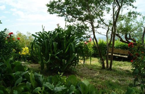Muro Lucano Bed & Breakfast | B&B IL QUERCETO