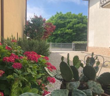 Nogara Bed & Breakfast | B&B L'Airone