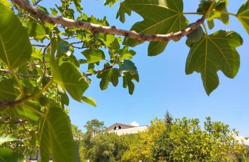 Marina di Casal Velino House | b&b L`Oasi