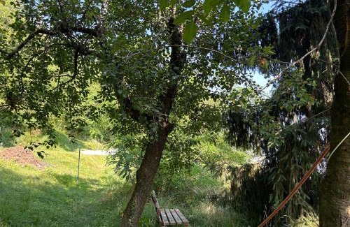 Tavernerio Bed & Breakfast | B&B La Corte and Home Restaurant - free parking - 10 minutes to the lake and centre