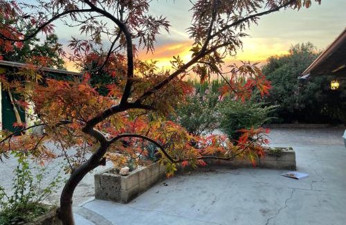 Gozzolina Bed & Breakfast | B&B La Cascina di Alice