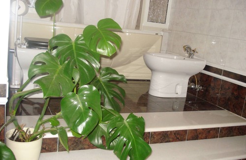 Cerveteri Bed & Breakfast | B&B La Mia Casa per Tutti