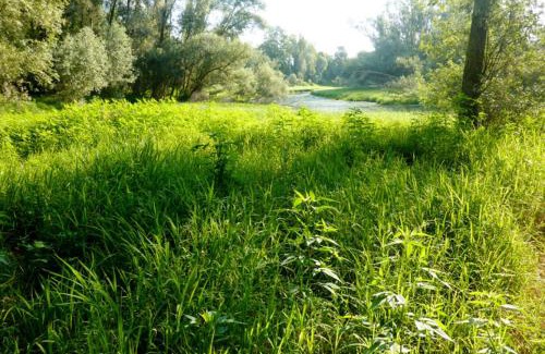 Curtarolo Bed & Breakfast | B&B Maison Parco Del Brenta