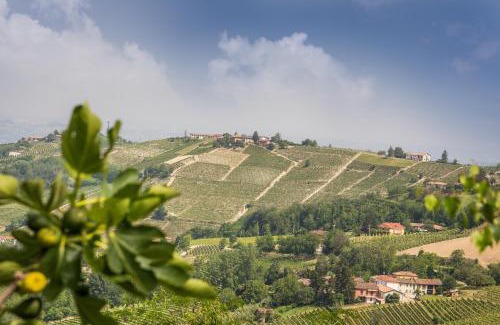 Mango Bed & Breakfast | B&B Miellò nelle Langhe