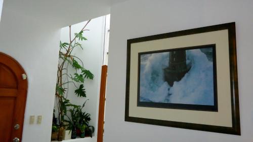 Puerto Aventuras Bed & Breakfast | B&B Mom's House