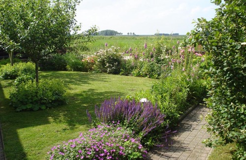Bollingawier Bed & Breakfast | b&b op de vlakte