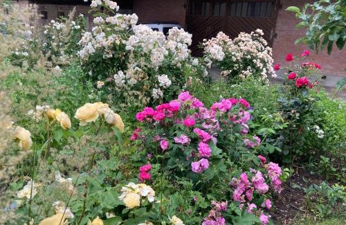 Murten Bed & Breakfast | B&B Perron13