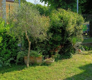 Vaccarolo Bed & Breakfast | B&B Porte Rosse