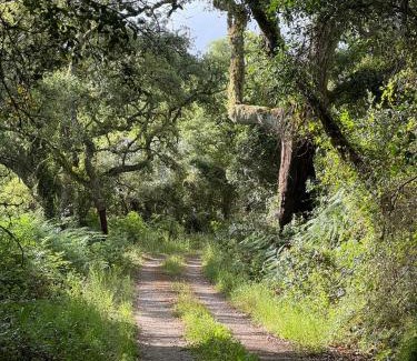 Reliquias Bed & Breakfast | B&B Ronny