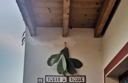 Giuggianello Bed & Breakfast | B&B TOBIA'S HOUSE: A REAL SALENTO EXPERIENCE!