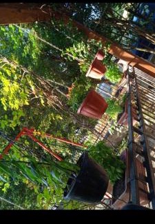 Parenti Bed & Breakfast | B&B Villa Ninetta