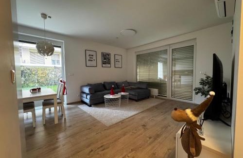 Nivy Apartment | BA Apartment with free garage parking and garden