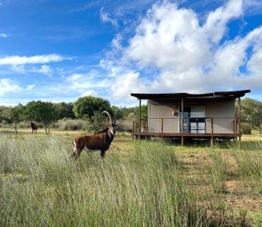 Hessequa Apartment | Baardbos Private Game Reserve