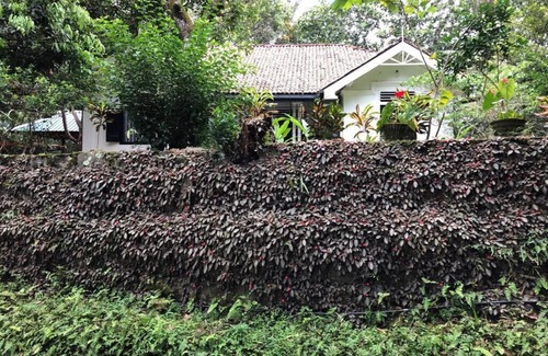Welivitiya-Divithura House | Baddegama, Kiribathawila; Colonial Style Villa close to Hikkaduwa Beach