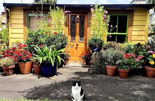 Freemans Bay Cottage | Bag End. Cosy Secluded Suite in Central Auckland close to Ponsonby Rd