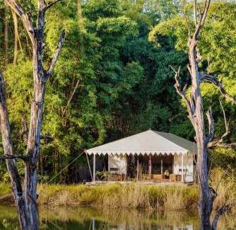 Kanha Resort | Bagh Villas I Kanha