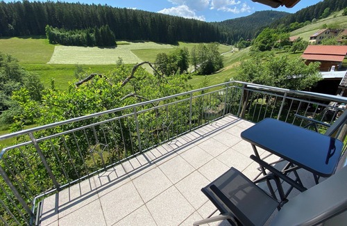 Baiersbronn Apartment | Baiersbronn, Black Forest, Schwarzwald, view, 2 rooms, sun, balcony, quietness