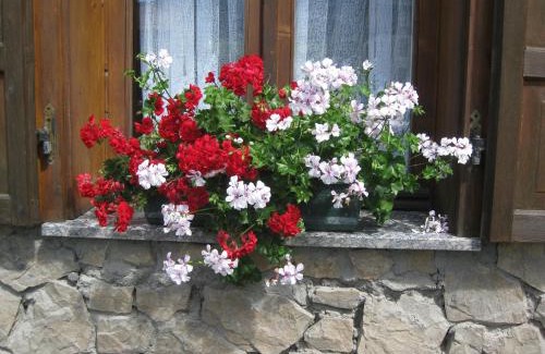 Bormio Apartment | Baita al Pian