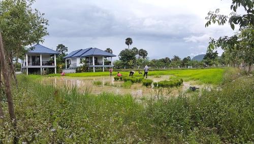 Kampot House | Baksaei Retreat Ricefield Villas