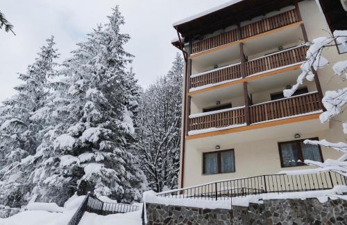 Cartisoara House | Balea Teleferic