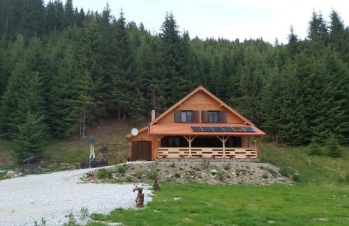 Gheorgheni Apartment | Balendormi