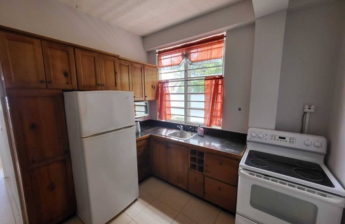 Picard Apartment | Balisier Apt 2 - One bedroom apartment with gorgeous view!