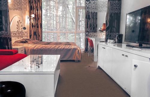 Vilnius city municipality Apartment | Baltazaras