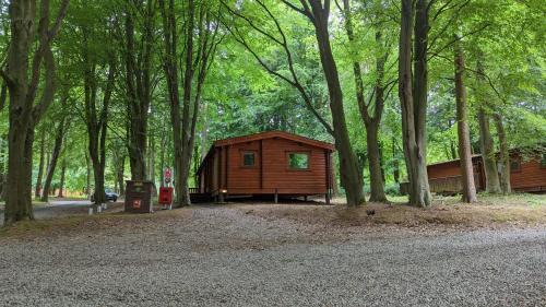 Kenwick House | Bamboo Retreat
