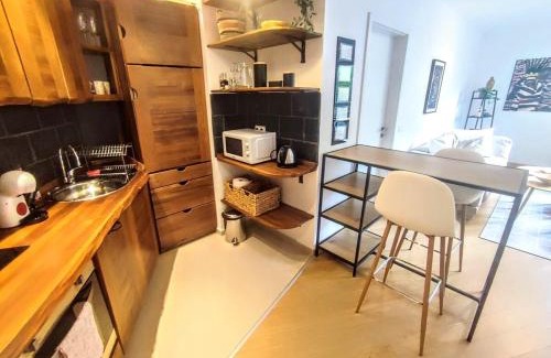 Shiligarnika Apartment | Bansko HOMY 1bd apt SKI&SPA resort