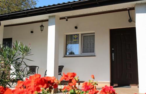 Aleksandrow Lodzki Hotel | Bar Malwa