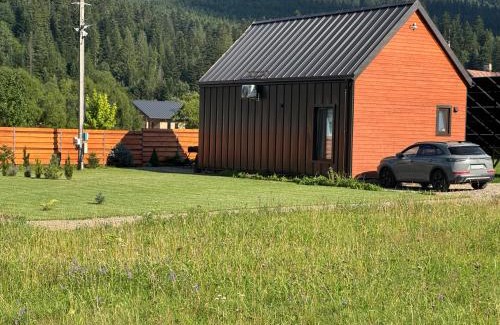 Mykulychyn House | Barn S&S House