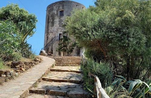 Tancau Sul Mare Apartment | BaseCamp Ogliastra - Flat Green