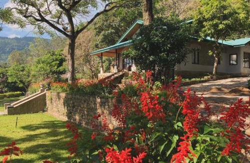 Pathahewaheta House | Bawlana Estate - Kandy