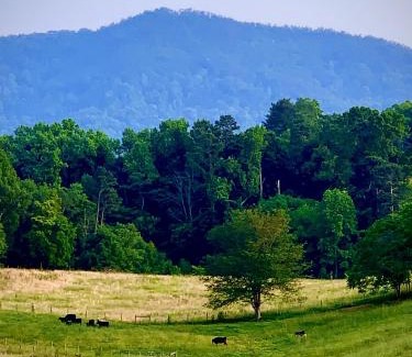 Dandridge House | Baxter Farmhouse