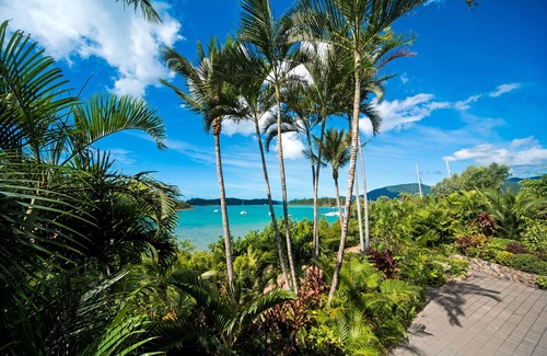 Shute Harbour Apartment | Baybliss Luxury 1 Bedroom Apt