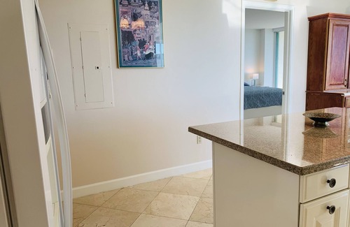Coconut Grove Condo | BAYFRONT Luxury Ritz Residences Condo with amazing ocean views, free parking