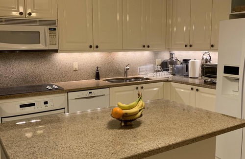 Coconut Grove Condo | BAYFRONT Luxury Ritz Residences Condo with amazing ocean views, free parking