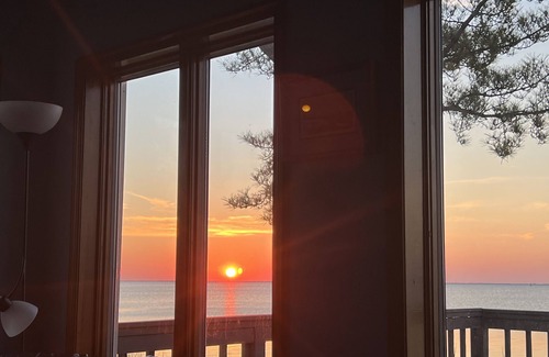 Waretown House | Bayfront Oasis, Magnificent Views, Kayaking/Fishing/Clamming, Wild Lives
